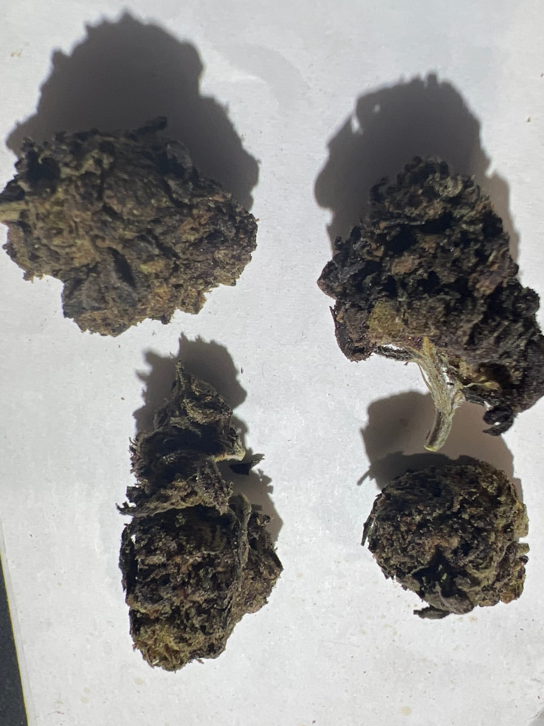 Customer photo review of Ice Cream Cake (Wholesale)