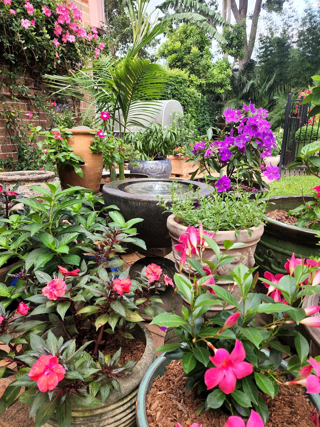 Customer photo review of Luna Bowl Fountain - Indoor & Outdoor Elegance