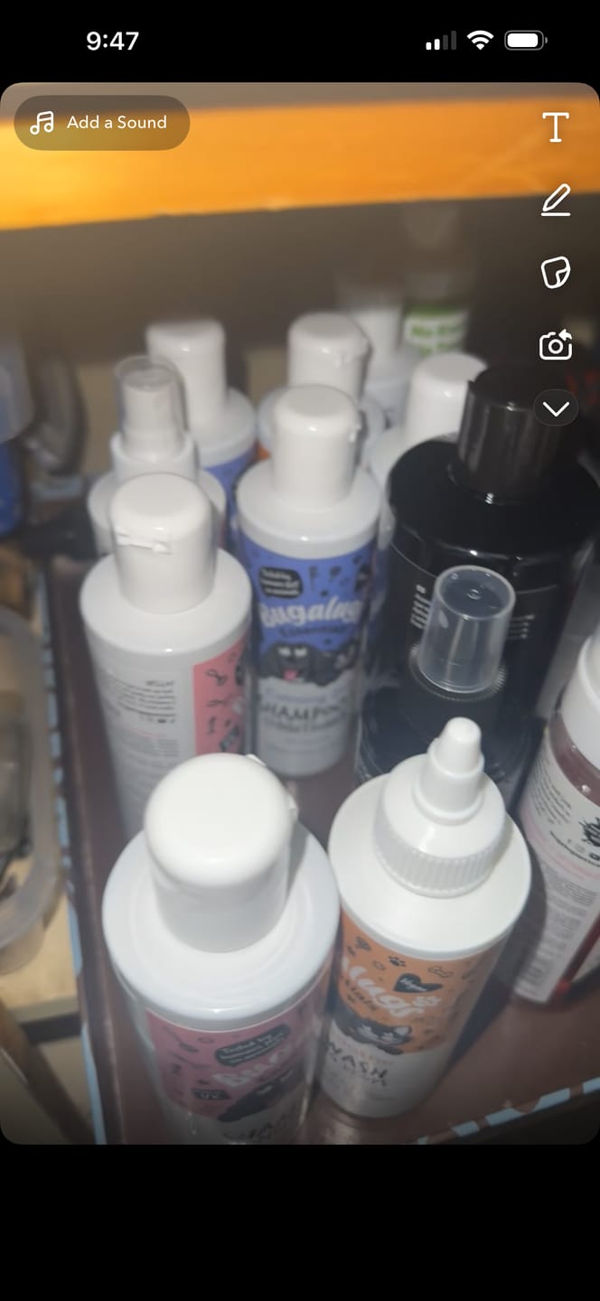 Customer photo review of 2-in-1 Detangler & Leave in Conditioner with Raspberry & Lemon for Dogs