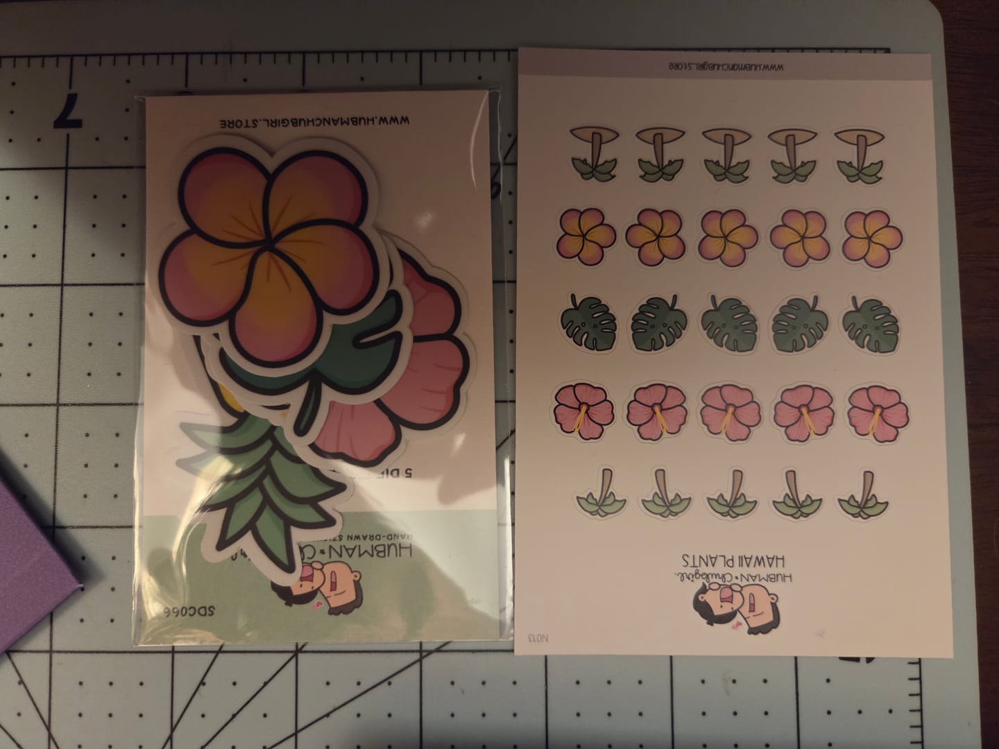 Customer photo review of Hawaii Plants Planner Stickers