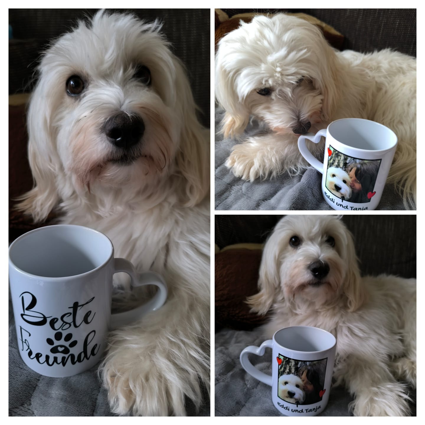 Customer photo review of Personalisierte Tasse - Fototasse mit Hund