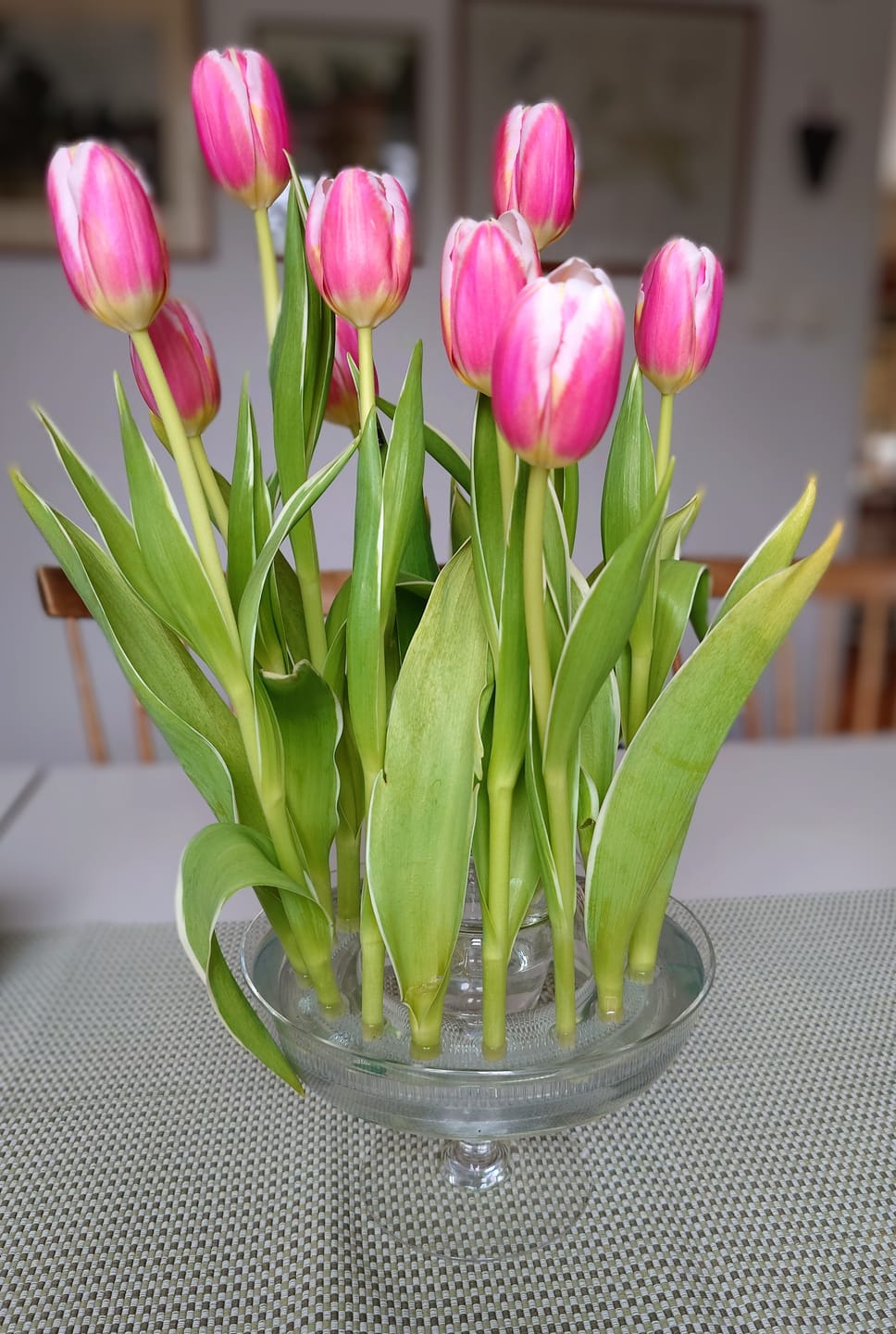 Customer photo review of Kenzan Ring 150 mm Acrylic Flower Frog