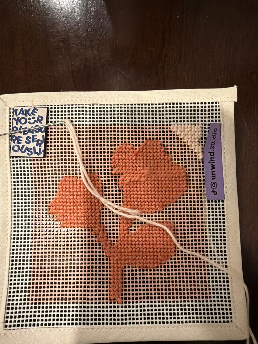 Customer photo review of NEEDLEPOINT STARTER KIT Flower Sisters