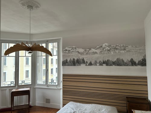 Customer photo review of Aigle teinté Chêne | Suspension