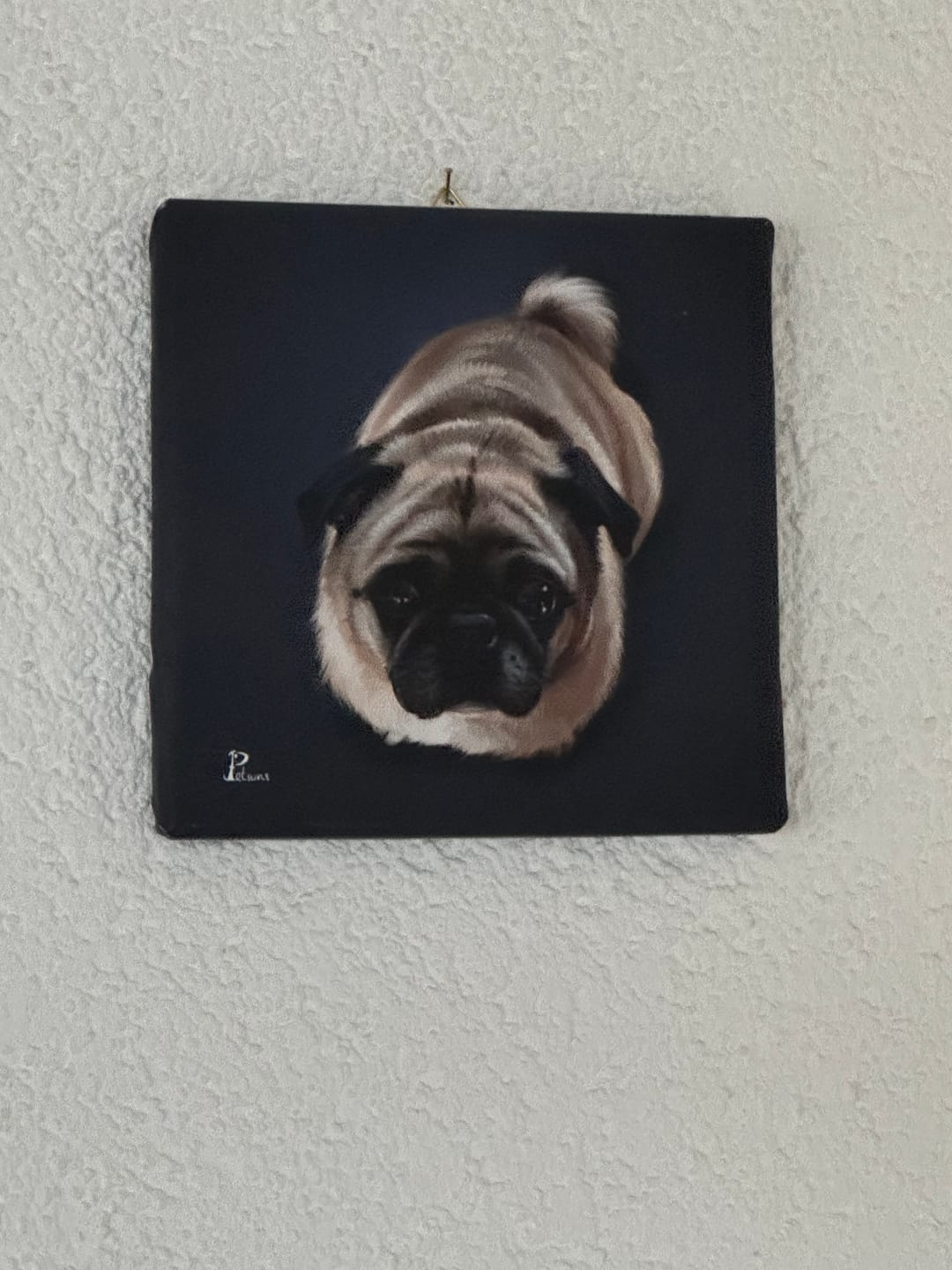 Customer photo review of Handgemaltes Haustierportrait auf Premium Leinwand im Realistischen Stil