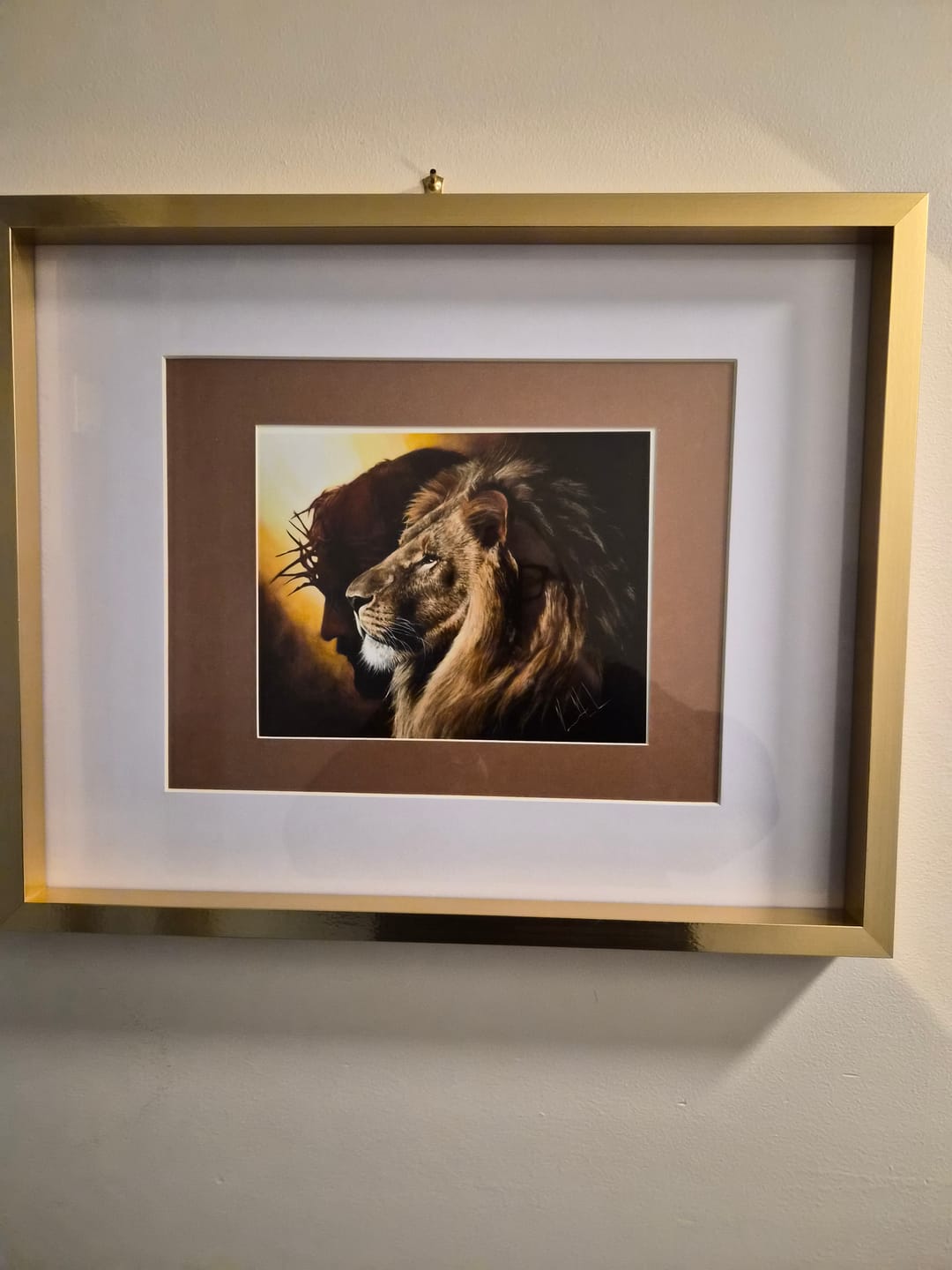 Customer photo review of The Lion of Judah