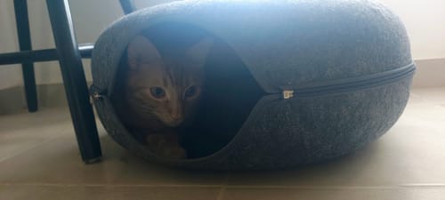 Customer photo review of Cueva Dona