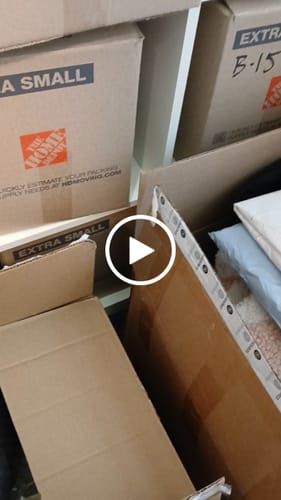 Customer video review of Boutique NWT Top Heavy Assortment