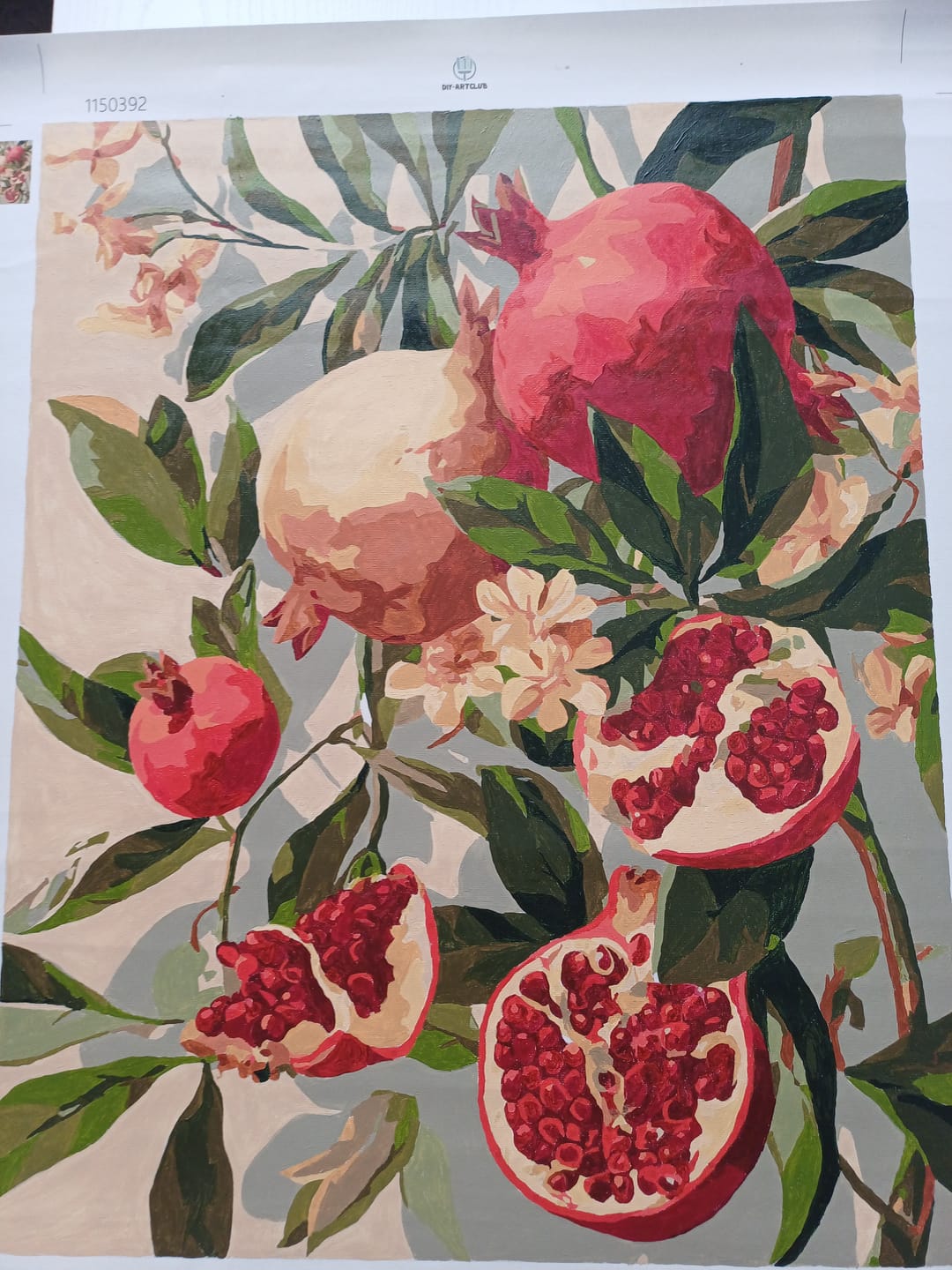 Customer photo review of Blooming pomegranates | Paint by Number