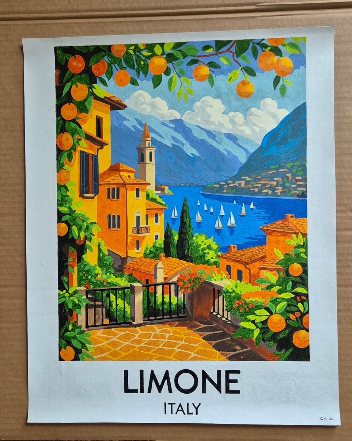 Customer photo review of Limone Italy | Paint by Number