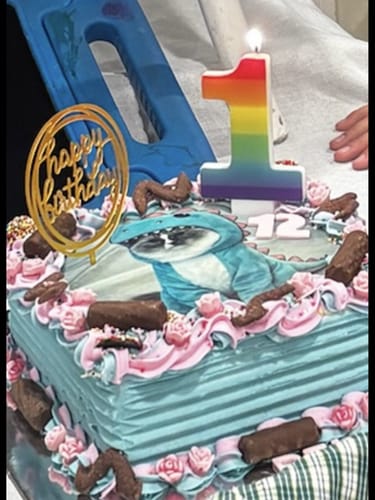 Customer photo review of A4 Rectangle Custom Edible Icing Image