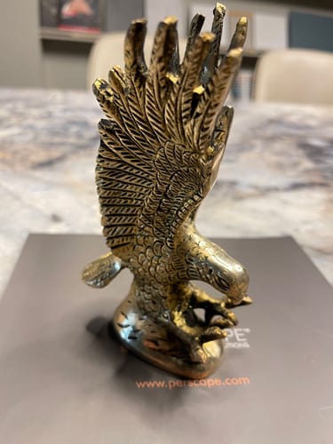 Customer photo review of Brass Eagle Idol Vastu Remedy for Vision, Authority and Success Energy for Home and Office | 8 x 5 x 15 cm | 650 gm
