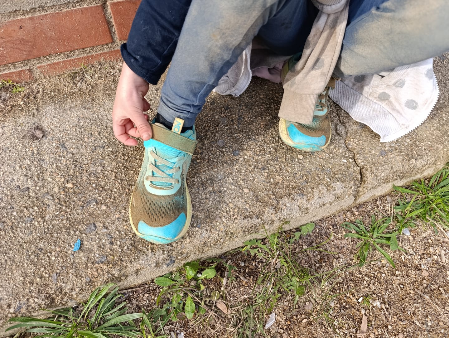 Customer photo review of Mint Storm Kids
