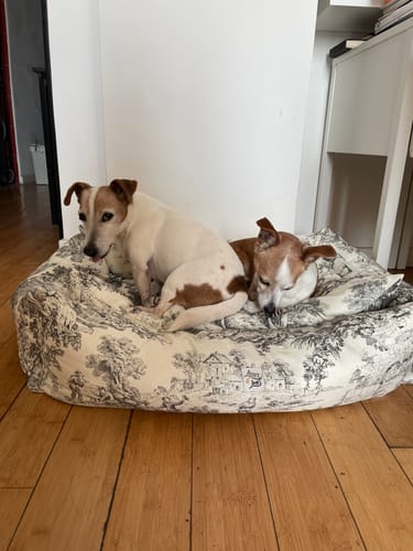 Customer photo review of Sottociotola Scozzese Rosso