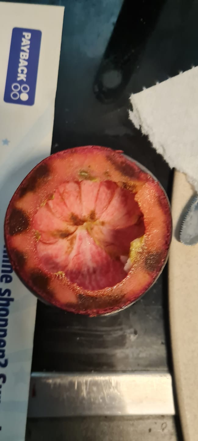Customer photo review of Mangostan-Passion Box