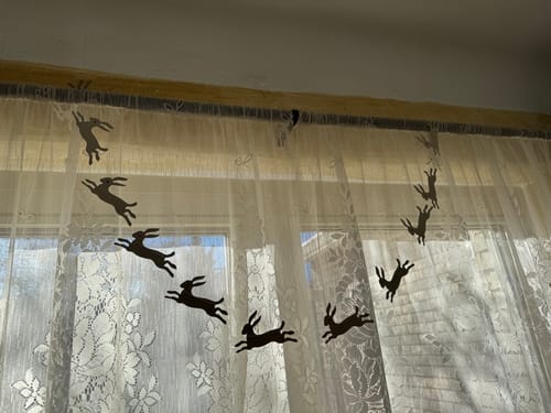 Customer photo review of Loyal Subscriber Free Gift