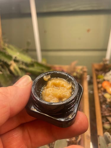 Customer photo review of Strawguava (Reserve Wash) - 5g