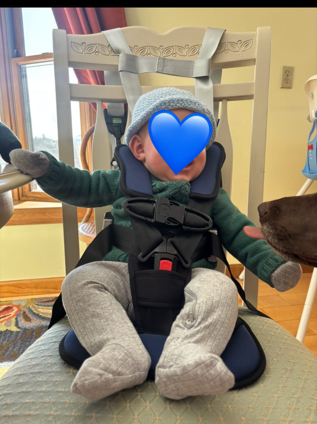 Customer photo review of Child Positioner for Golf Carts 5 Point Harness
