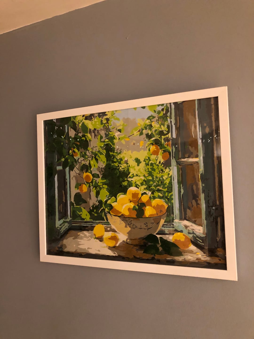 Customer photo review of Lemon Bowl at the Window | Paint by Number