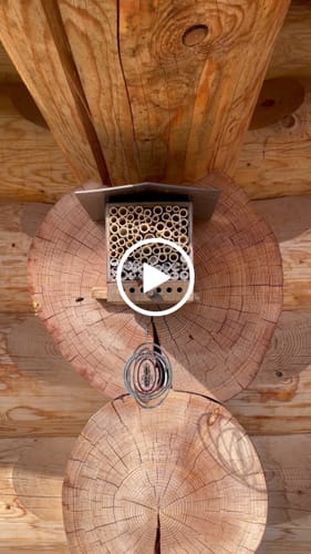 Customer video review of BeeHome Observer