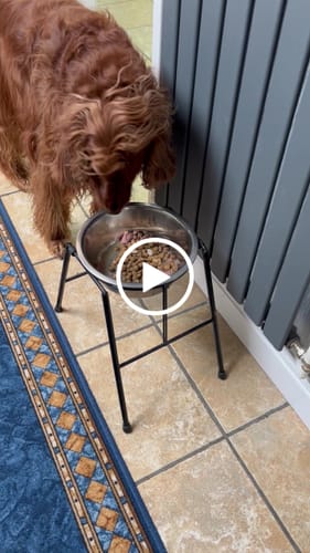 Customer video review of Chicken Bone Broth