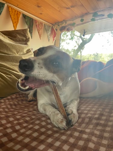 Customer photo review of Bugsy's 328g Variety Pack