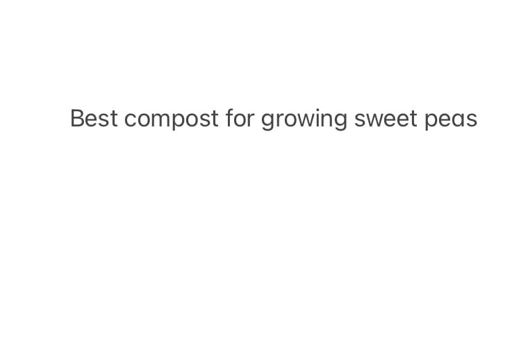 Customer photo review of Fir - Barefoot Shoes