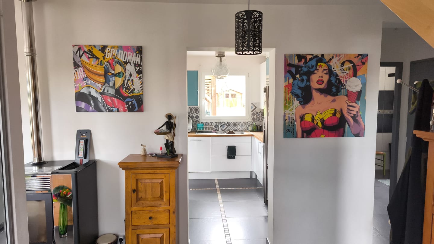 Customer photo review of Tableau Pop Art Singe Musicien - Décoration Design