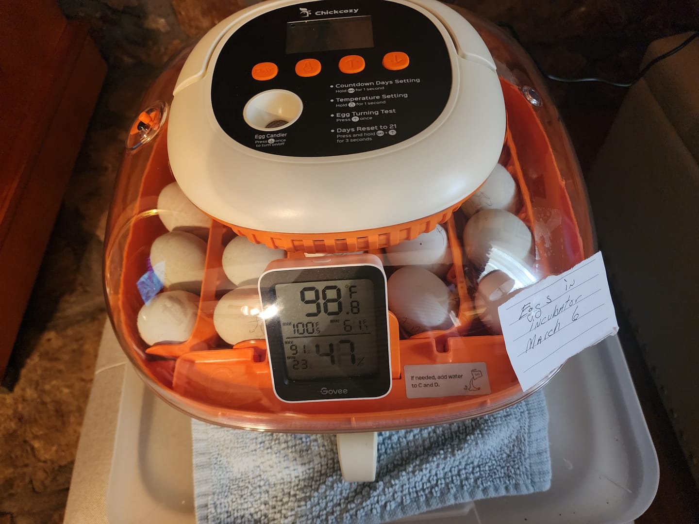 Customer photo review of Egg Incubator -25 Egg Capacity
