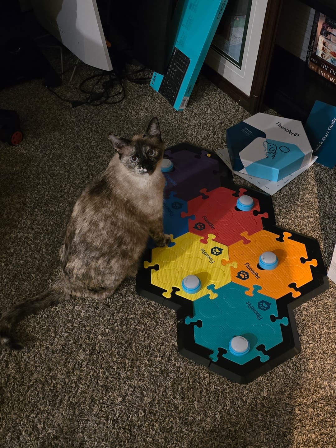 Customer photo review of Connect Key Vocab Kit Bold with Base