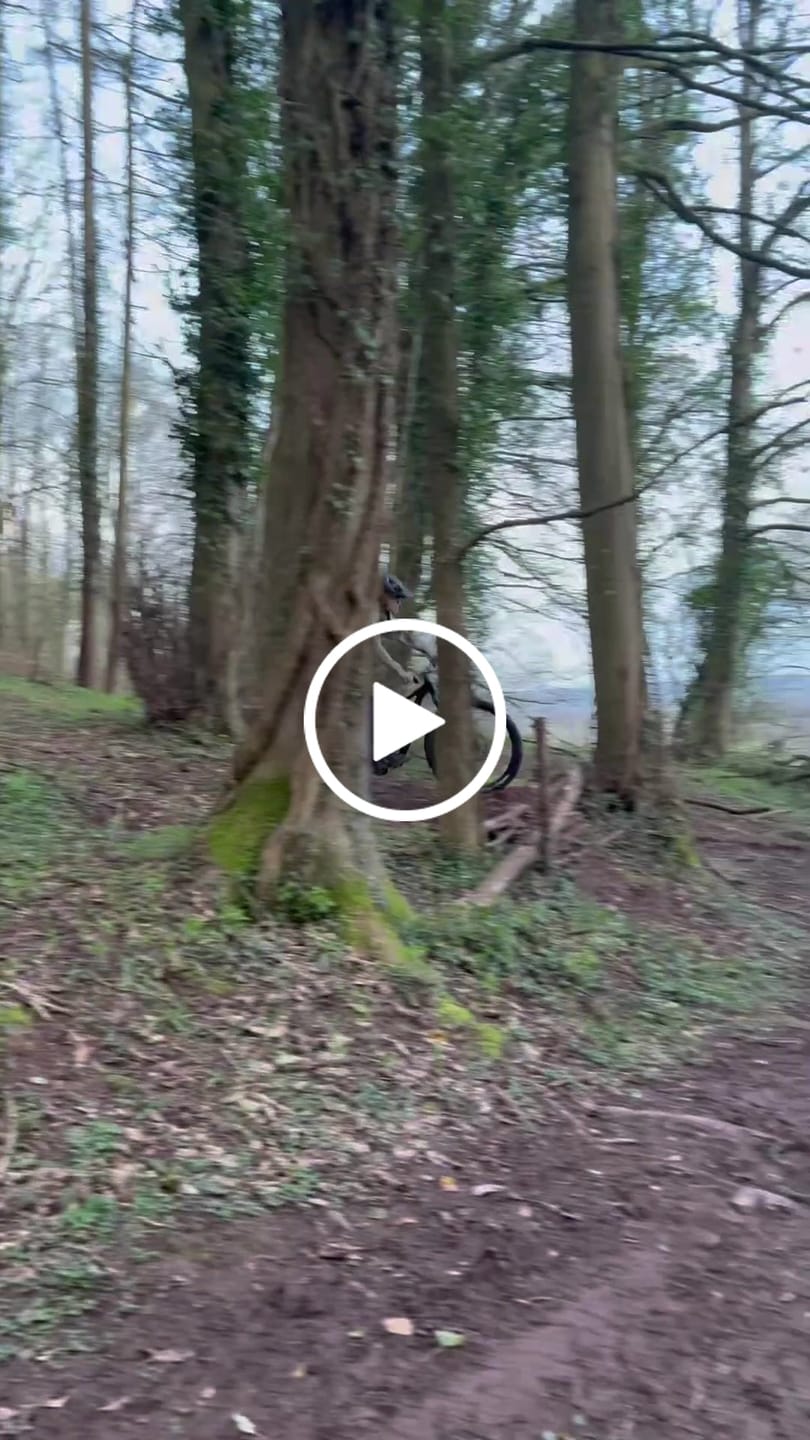 Customer video review of 3 Pack | Wildcat | Compression Shred Socks