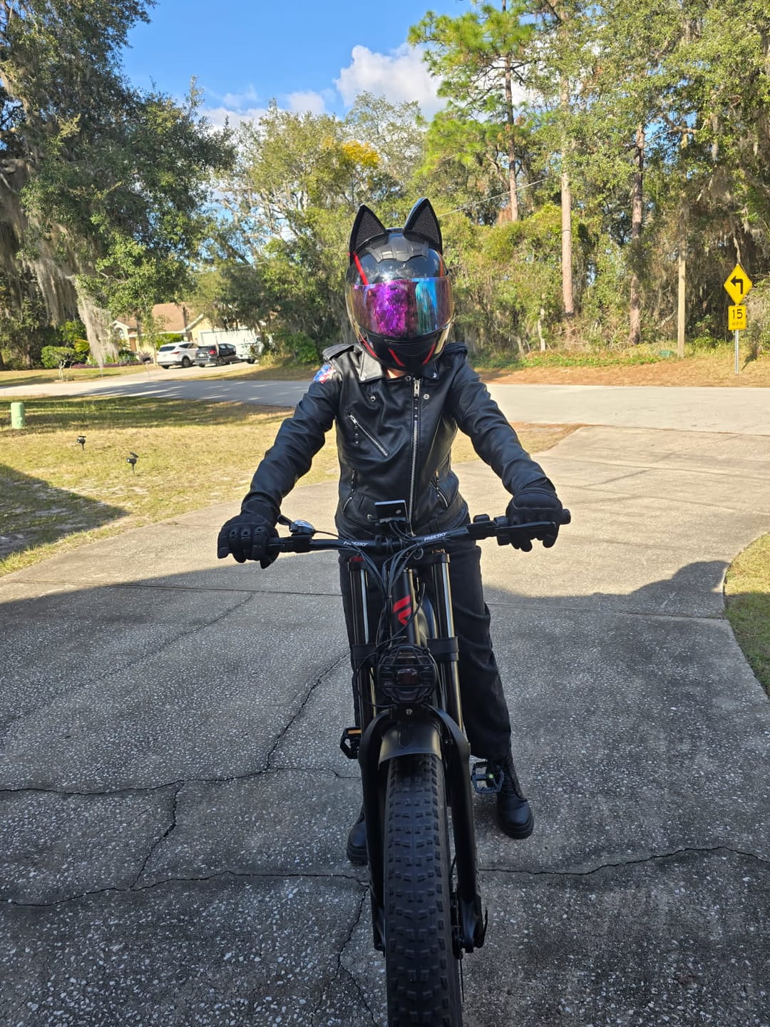 Customer photo review of Swift Horse Pro X-6E