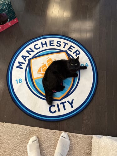 Customer photo review of Manchester City FC® Logo Rug