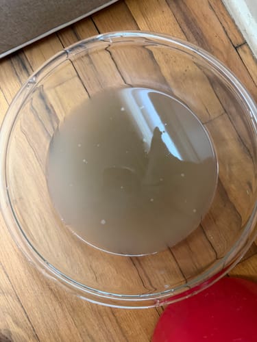 Customer photo review of Green Mitt Kit