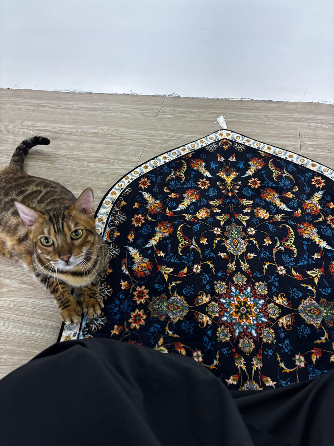Customer photo review of Firdaws  Padded Prayer Mat
