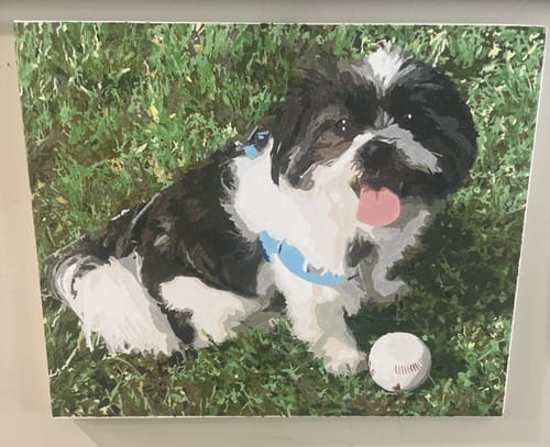 Customer photo review of Custom Paint By Numbers - Personalized Pet Portraits