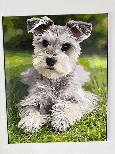 Customer photo review of Custom Paint By Numbers Kit