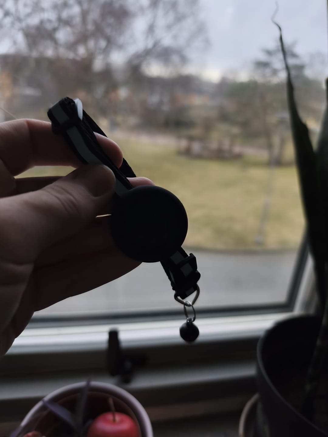 Customer photo review of AirTrackTag Kattpaket
