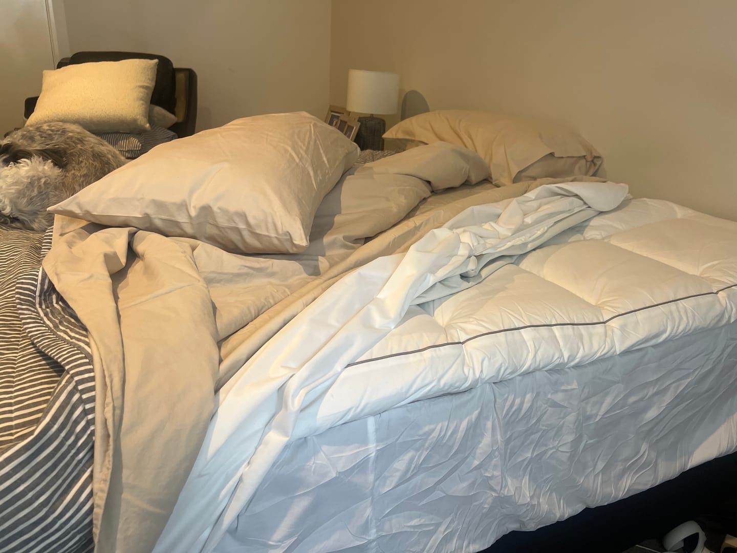Customer photo review of Muscle Mat Luxury Mattress Topper