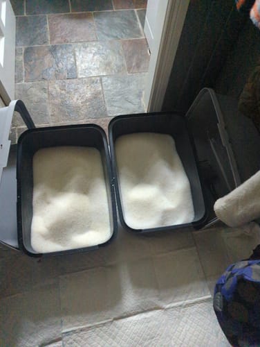 Customer photo review of 1 Month Supply – 2 Cat