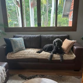 Customer photo review of LuxeLounge™ Couch Cover - Premium Protection Dogs Love