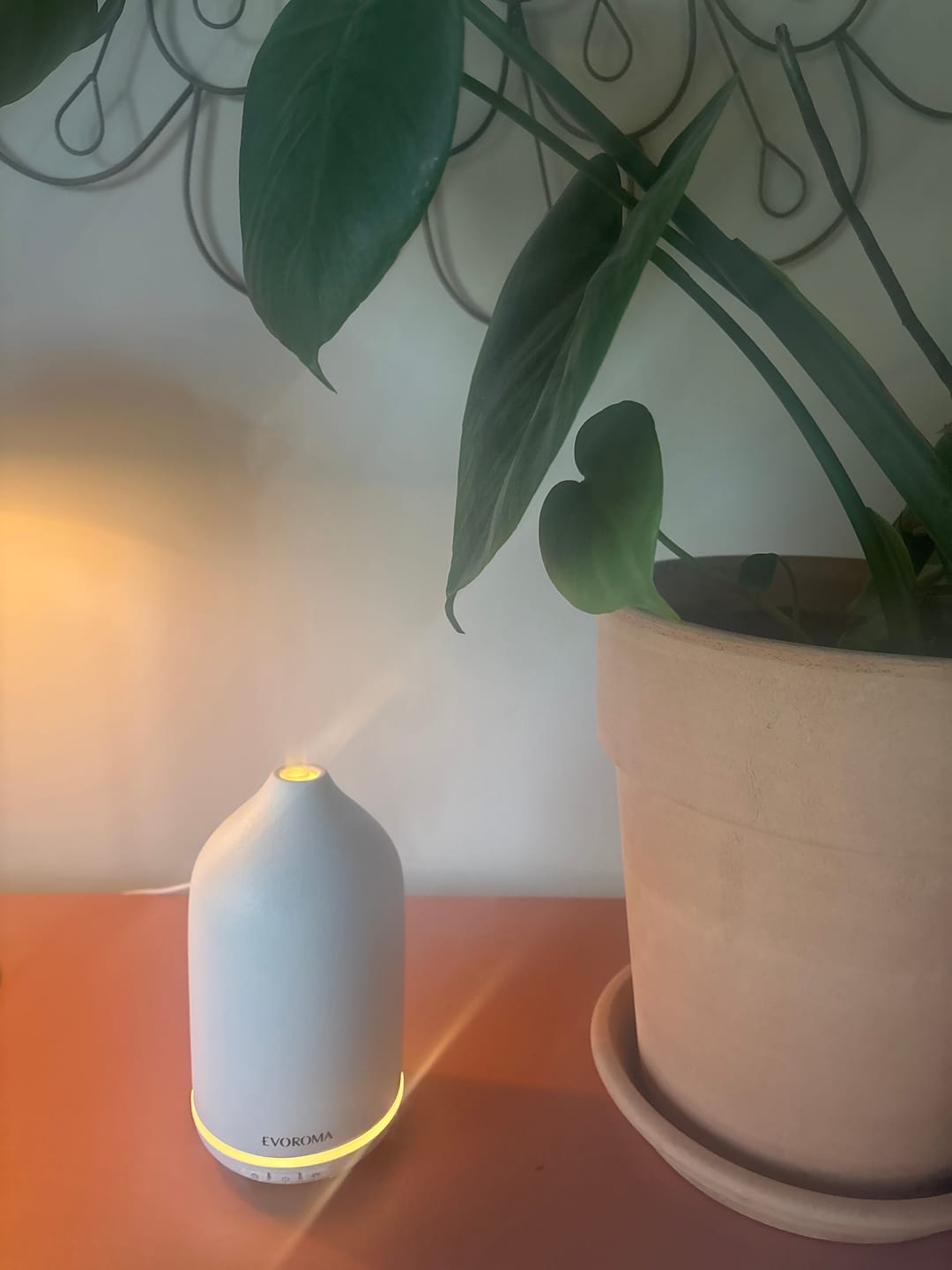 Customer photo review of Vanilj Doftolja