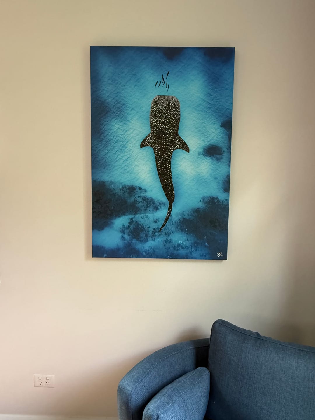 Customer photo review of Whale Shark Dreams | Ningaloo Reef