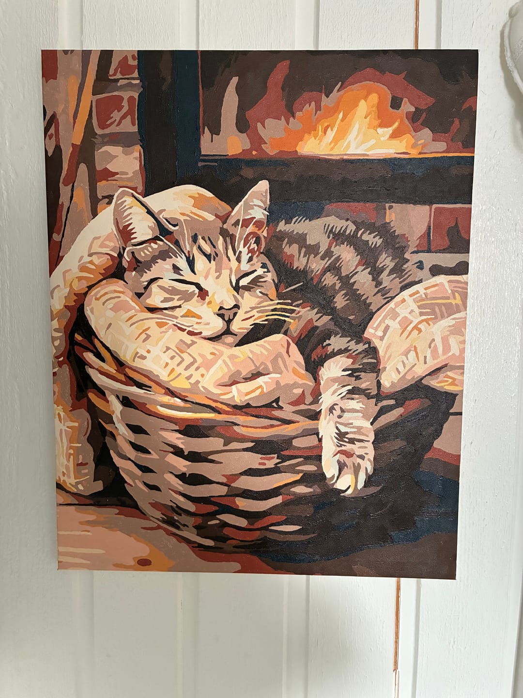 Customer photo review of Bascat