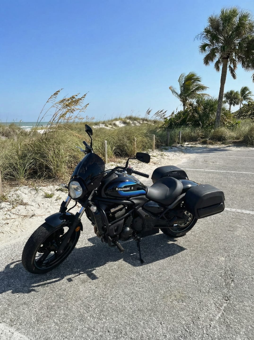 Customer photo review of 28L - Pantheon Medium Quick Mount Kawasaki Vulcan S VN650 Motorcycle Saddlebags