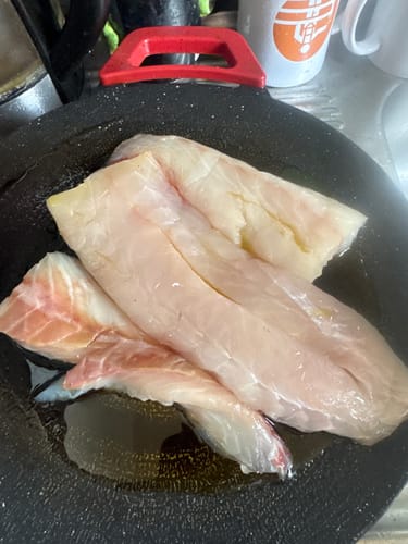 Customer photo review of Fresh Hapuka Groper Fillets (Skinless & Boneless)