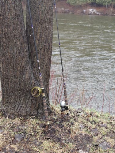 Customer photo review of Custom Float Build