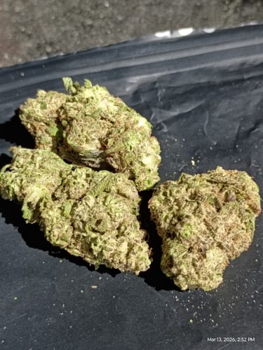 Customer photo review of Hashburger - 28 Grams - Indica