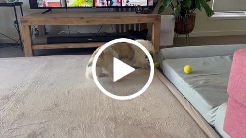 Customer video review of Relax Mat - Soft Touch Tatami Mat