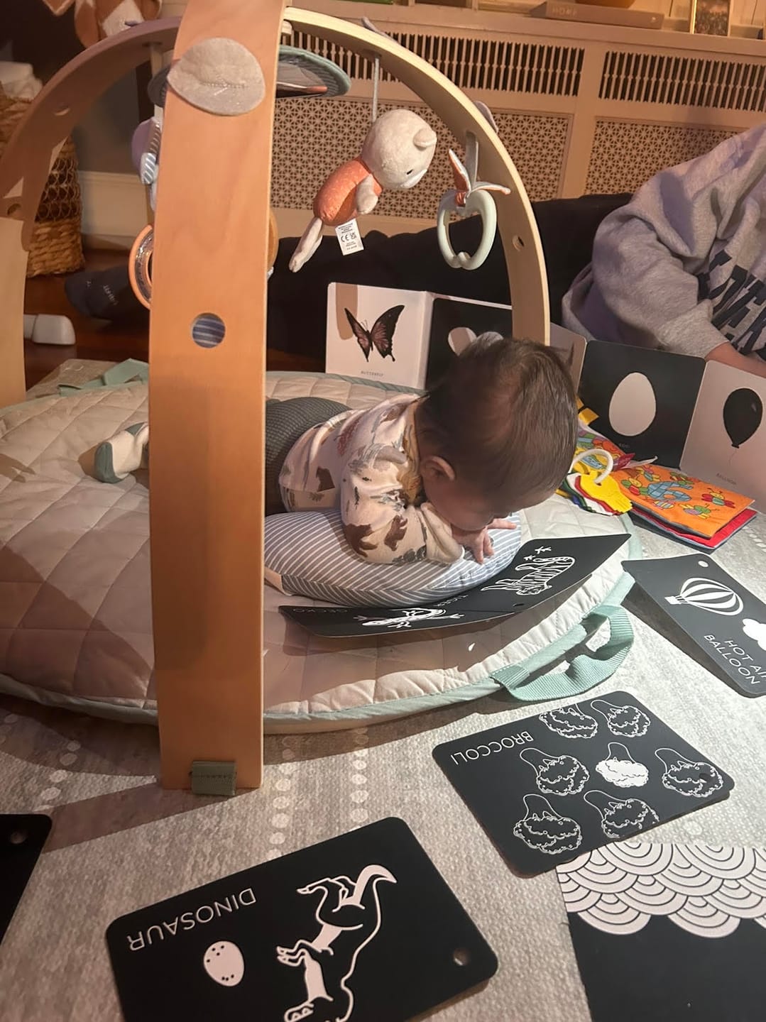 Customer photo review of Curious Baby™ Activity Cards